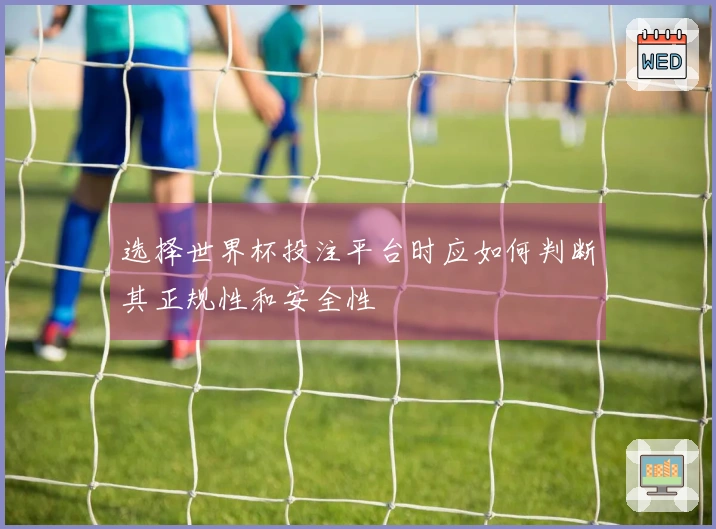 选择世界杯投注平台时应如何判断其正规性和安全性