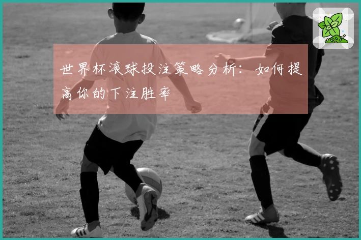 世界杯滚球投注策略分析：如何提高你的下注胜率