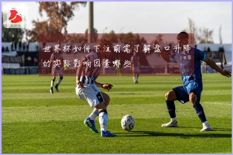 世界杯如何下注前需了解盘口升降的实际影响因素哪些