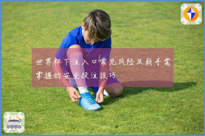 世界杯下注入口常见风险及新手需掌握的安全投注技巧