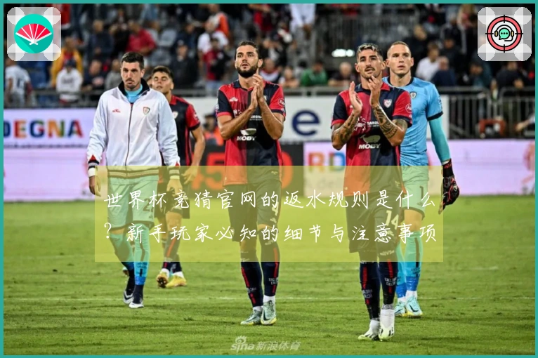 世界杯竞猜官网的返水规则是什么？新手玩家必知的细节与注意事项