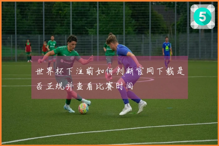 世界杯下注前如何判断官网下载是否正规并查看比赛时间