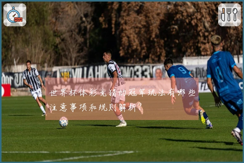 世界杯体彩竞猜的冠军玩法有哪些注意事项和规则解析？