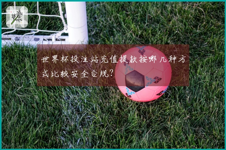 世界杯投注站充值提款按哪几种方式比较安全合规？