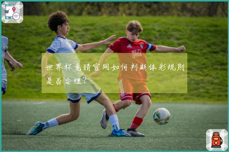世界杯竞猜官网如何判断体彩规则是否合理？