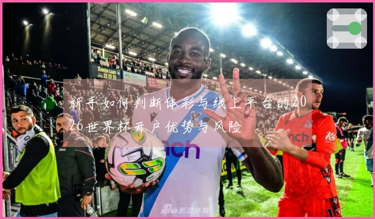 新手如何判断体彩与线上平台的2026世界杯开户优势与风险