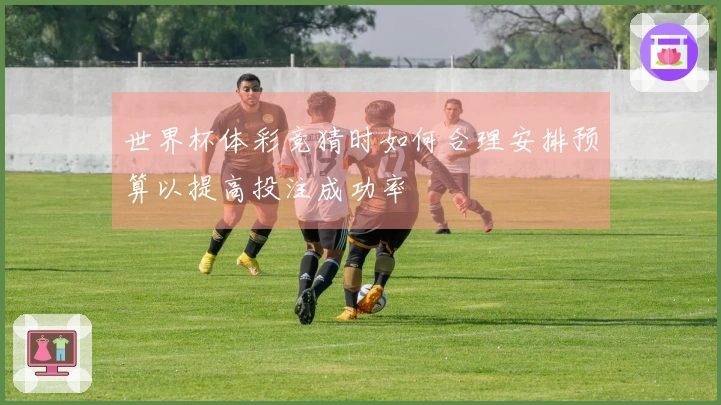 世界杯体彩竞猜时如何合理安排预算以提高投注成功率