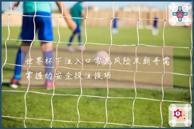 世界杯下注入口常见风险及新手需掌握的安全投注技巧
