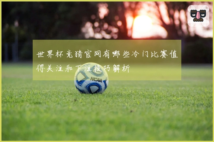 世界杯竞猜官网有哪些冷门比赛值得关注和下注技巧解析