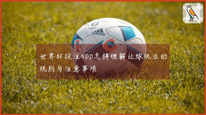 世界杯投注app怎样理解让球玩法的规则与注意事项