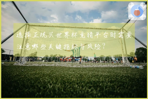 选择正规买世界杯竞猜平台时需要注意哪些关键指标与风险?