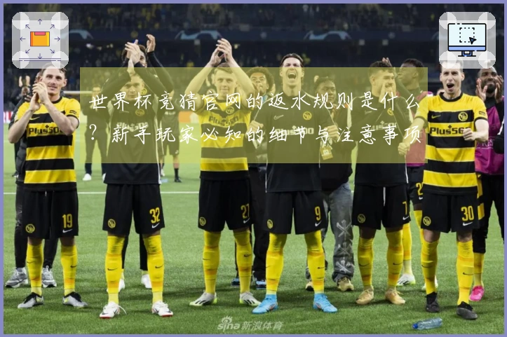 世界杯竞猜官网的返水规则是什么？新手玩家必知的细节与注意事项