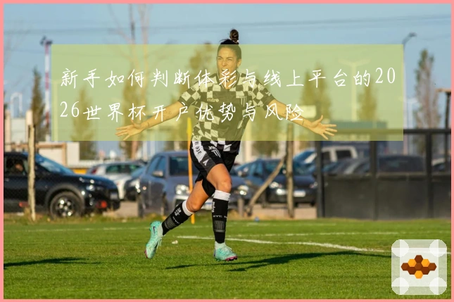 新手如何判断体彩与线上平台的2026世界杯开户优势与风险