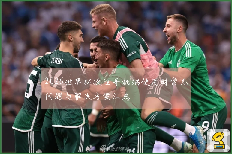 2026世界杯投注手机端使用时常见问题与解决方案汇总