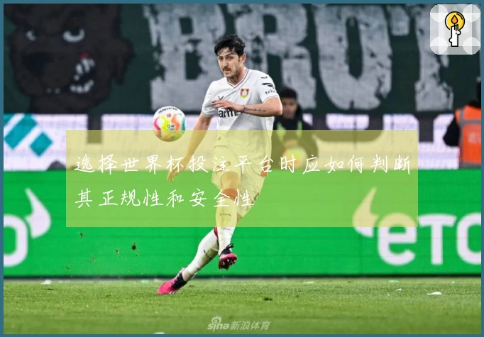 选择世界杯投注平台时应如何判断其正规性和安全性