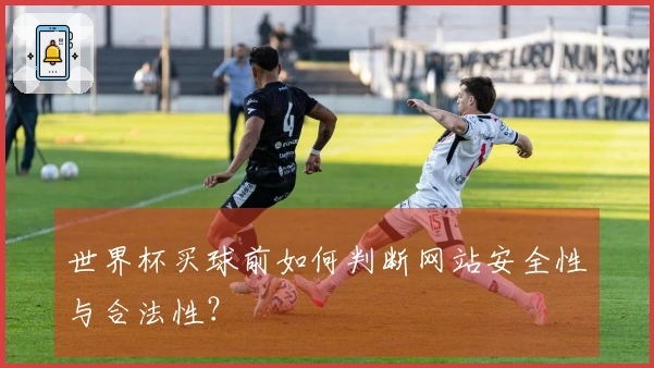 世界杯买球前如何判断网站安全性与合法性？